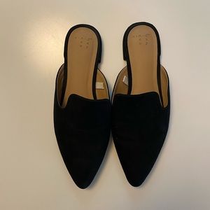 A New Day Black Mules